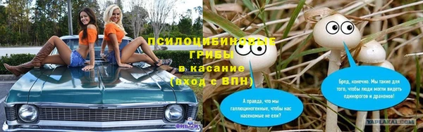 Альфа ПВП Майский